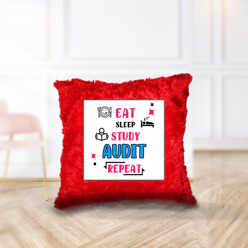 "Eat. Sleep. Study. Audit. Repeat." - Cushion