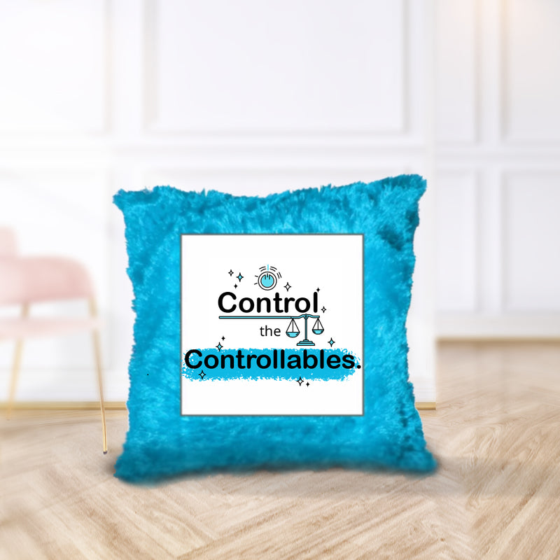 “Control the Controllables” Cushion - by CA Sankalp Kanstiya